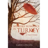 My Risky Romance in Turkey