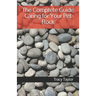 The Complete Guide Caring for Your Pet Rock
