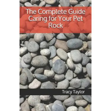 The Complete Guide Caring for Your Pet Rock