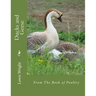 Ducks and Geese: From The Book of Poultry