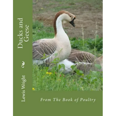 Ducks and Geese: From The Book of Poultry