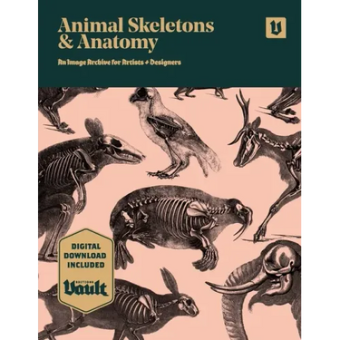 Animal Skeletons and Anatomy: An Image Archive for Artists and Designers