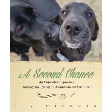 A Second Chance: An Inspirational Journey through the Eyes of an Animal Shelter Volunteer