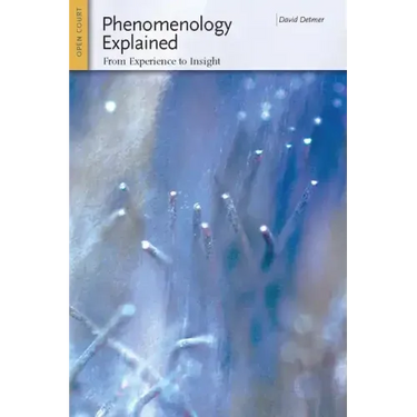 Phenomenology Explained: From Experience to Insight