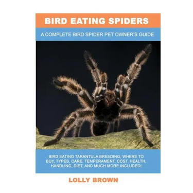 Bird Eating Spiders: Bird Eating Tarantula breeding, where to buy, types, care, temperament, cost, health, handling, diet, and much more in