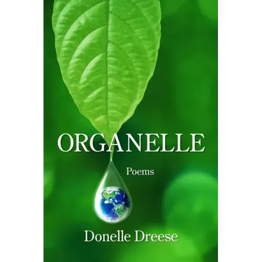 Organelle