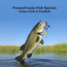 Pennsylvania Game Fish and Panfish Species Kids Book: Great Book About the Different Types of Fish in Pennsylvania