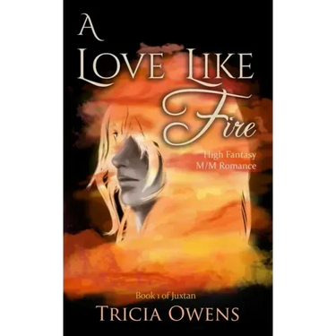 A Love Like Fire: High Fantasy M/M Romance