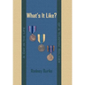 What's It Like?: A Day in the Life of a 'Clinton' Soldier