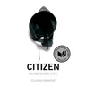 Citizen: An American Lyric