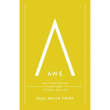 Awe: Why It Matters for Everything We Think, Say, and Do (with Study Questions)