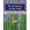 The Promises of the Lord: God Can Never Fail Nor Disappoint Anybody