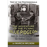 Test of the Professionals: The Adventure of the Flying Blue Pidgeon