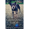 Liberating Louie: The Road To Rutland