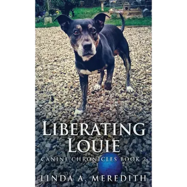 Liberating Louie: The Road To Rutland
