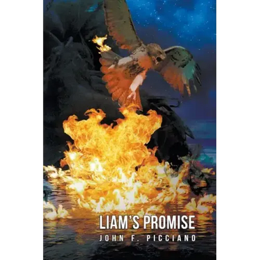 Liam's Promise