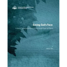 Saving God's Face: A Chinese Contextualization of Salvation through Honor and Shame