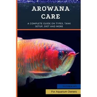 Arowana Care: A Complete Guide on Types, Tank Setup, Diet and More