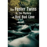 The Foster Twins In The Mystery at Red Bud Cove