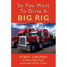 So You Want To Drive A Big Rig