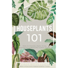Houseplants 101: How to choose, style, grow and nurture your indoor plants