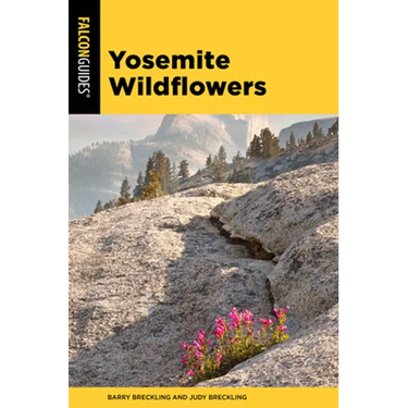 Yosemite Wildflowers