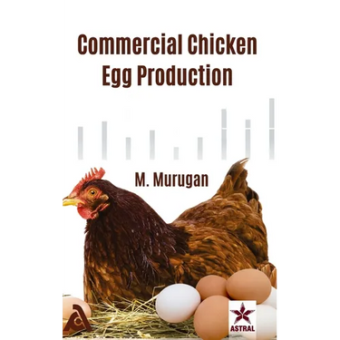 Commercial Chicken Egg Production