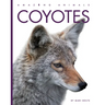 Coyotes