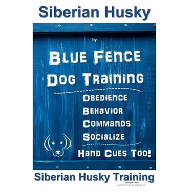 Siberian Husky By Blue Fence DOG Training, Obedience, Behavior, Commands, Socialize, Hand Cues Too!: Siberian Husky Training
