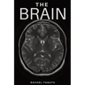 The Brain