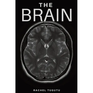 The Brain