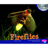 Fireflies