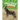 Female Spotted Hyenas: Commanders of the Clan