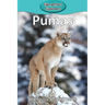 Pumas
