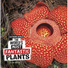 The World's Most Fantastic Plants