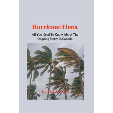 Hurricane Fiona; All You Need To Know About The Ongoing Storm In Canada