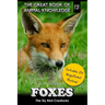 Foxes: The Sly Red Creatures