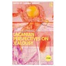 Lacanian Perspectives on Jealousy