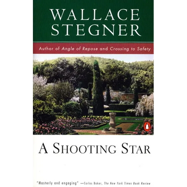 A Shooting Star