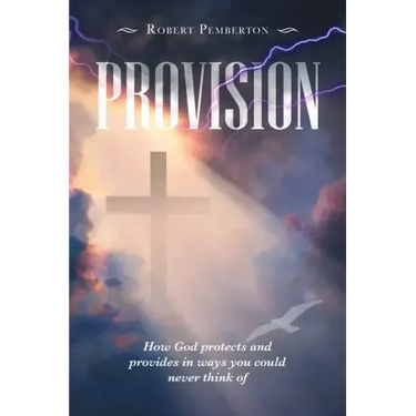 Provision: How God Protects and Provides in Ways You Could Never Think Of
