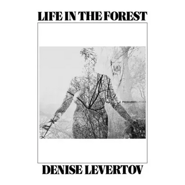 Life in the Forest