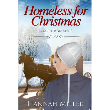 Homeless for Christmas