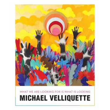 Michael Velliquette: What We Are Looking For is What is Looking