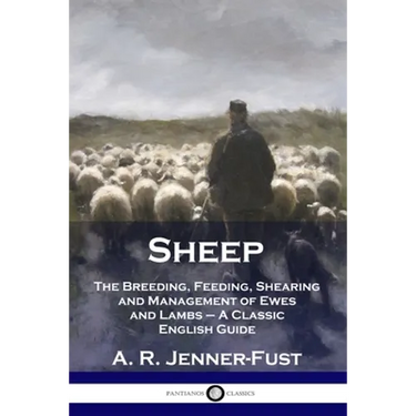 Sheep: The Breeding, Feeding, Shearing and Management of Ewes and Lambs - A Classic English Guide