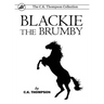 Blackie The Brumby