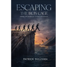 Escaping The Iron Cage: Making The Workplace Suitable For Humans
