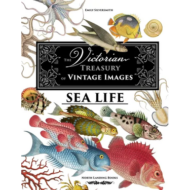 The Victorian Treasury of Vintage Images - Sea Life