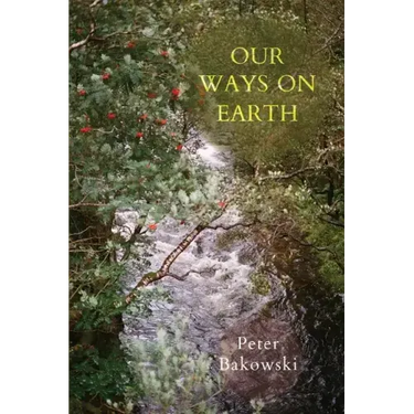 Our Ways on Earth