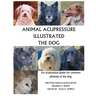 Animal Acupressure Illustrated The Dog