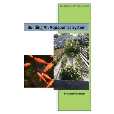 Building An Aquaponics System